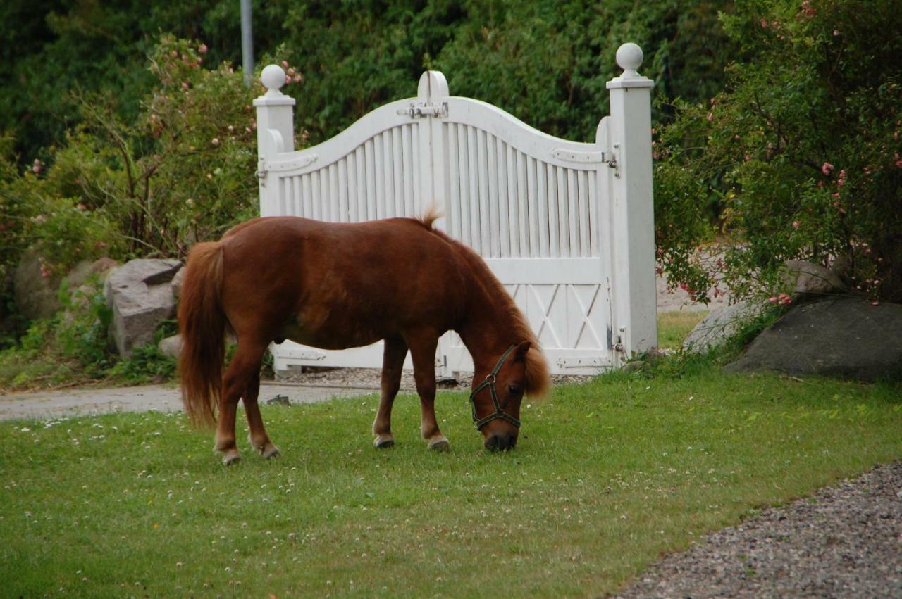 Ostseepferdehof Neukirchen  エクステリア 写真